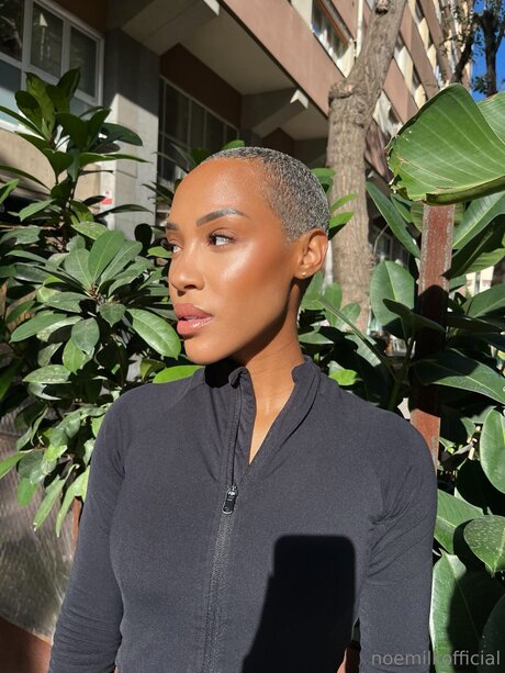 Noeoff2015 star du sexe collection