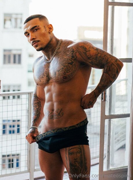 Mateospina belle étoile galerie