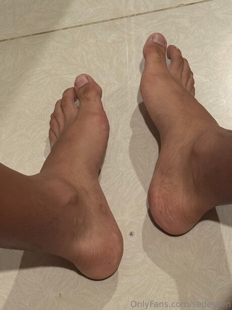 Sedessen haut étoile image