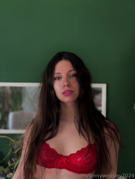 Dominga2024 étoile gratuite galerie