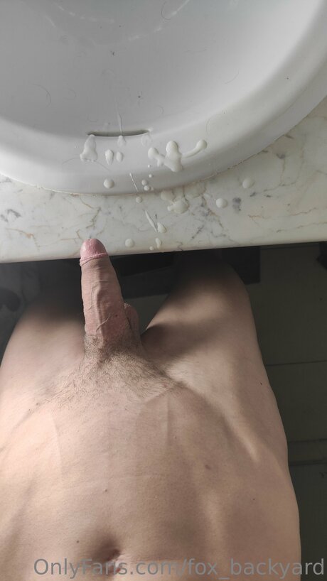 Fox Backyard étoile nue collection