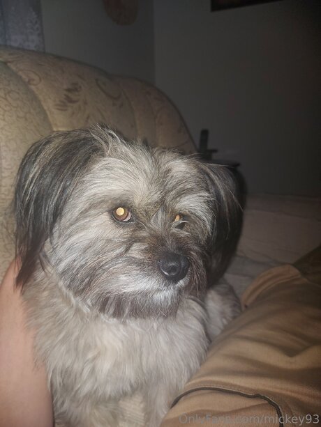 Mickey93 xxx star du porno img