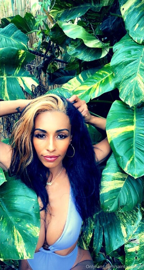 Saintannefree actrice de nus img