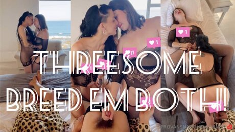 Sassonwest star du porno en haute qualité img