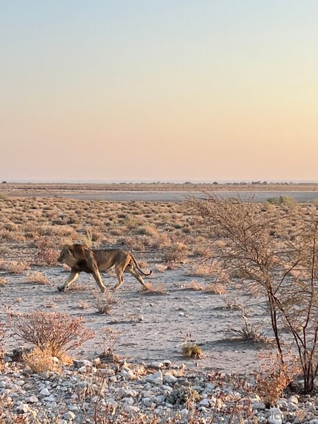 milf athlétique onlyfans haute qualité photos