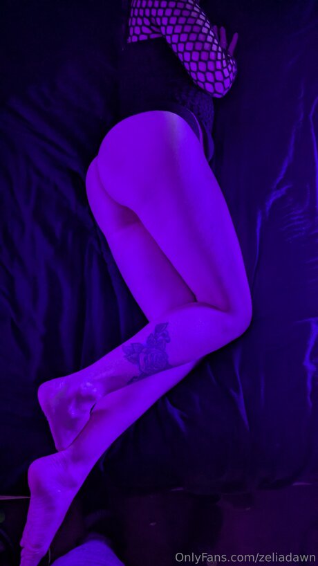 Zeliadawn actrice pornographique collection