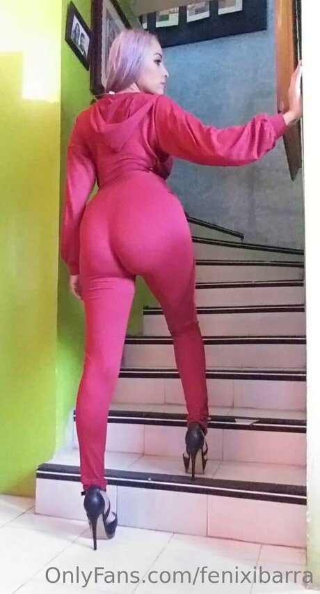 Fenixibarra xxx étoile galeries