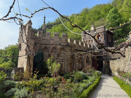 Travelsunshine xxx étoile galerie