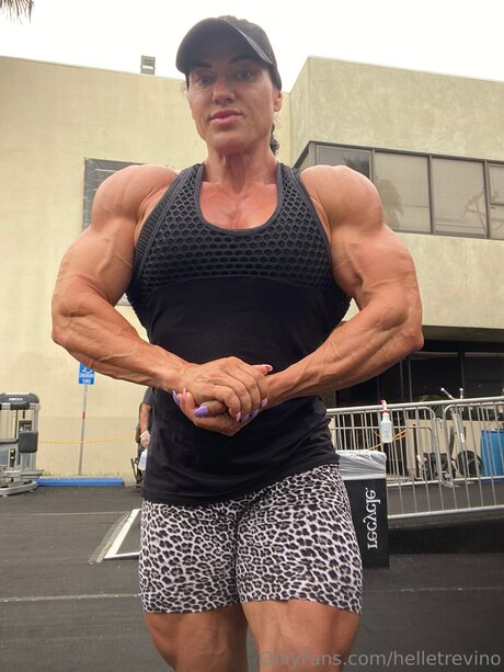 Helletrevino belle étoile archive