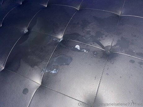 Exoticadolll beau modèle des photos