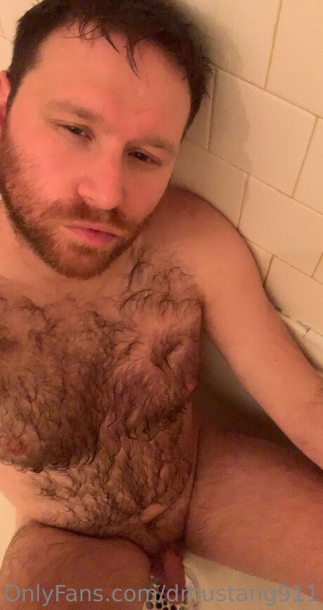 Dmustang911 star du porno sexy img