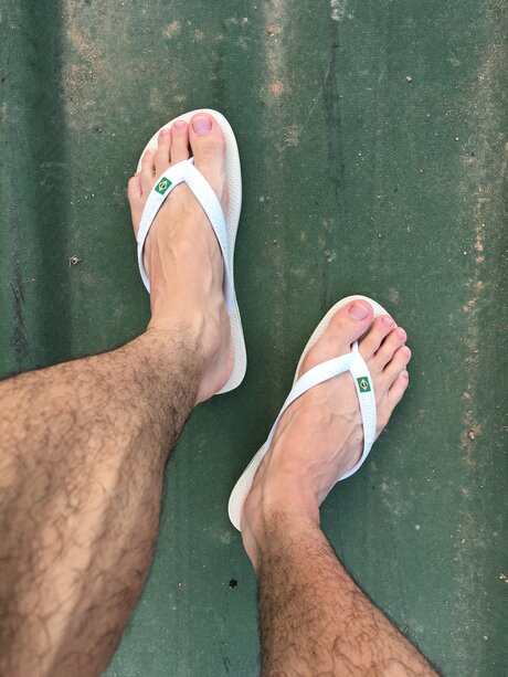 Calsiffer étoile parfaite photos