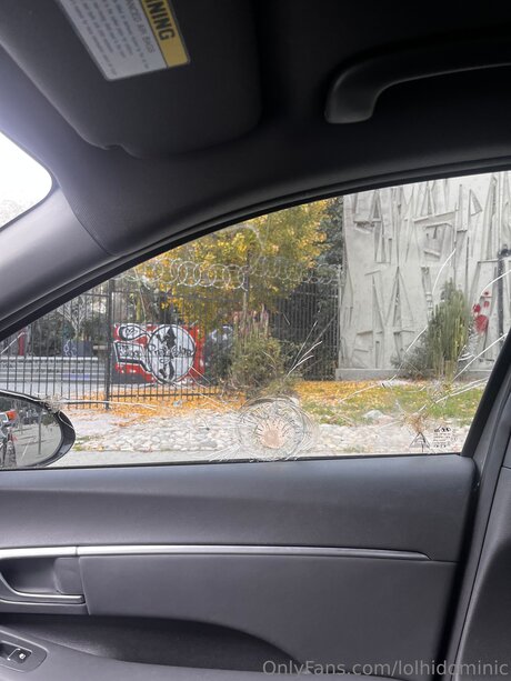 Ftmonlytrans actrice image