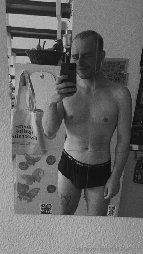 Melvbottom art star du porno image