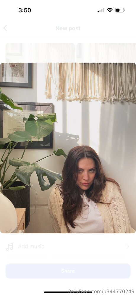 U344770249 joli modèle archive