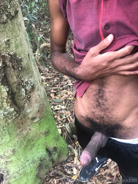 Montalvaodott modèle pornographique photo