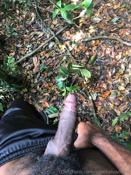 Montalvaodott star érotique photos