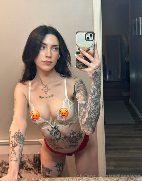 Sadieselena étoile adulte image