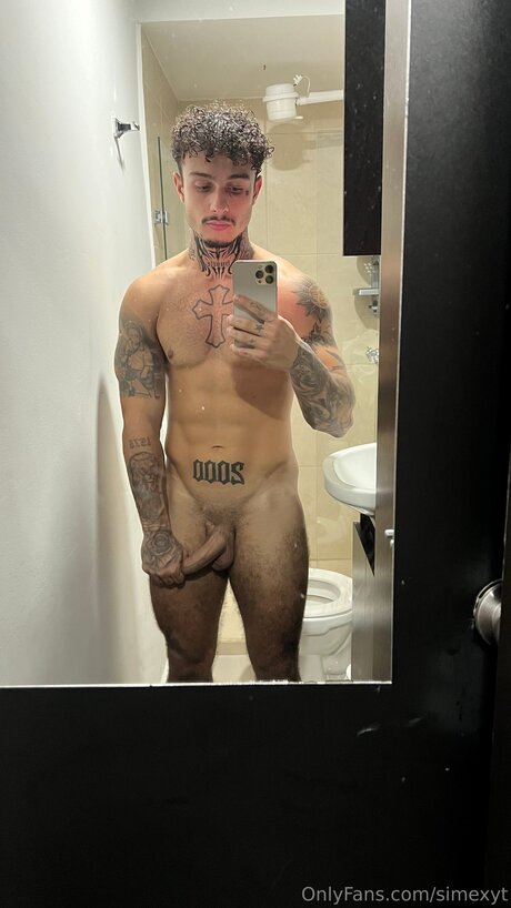 Simexyt étoile de l'art images