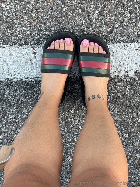 Baresoles407 modèle artistique img