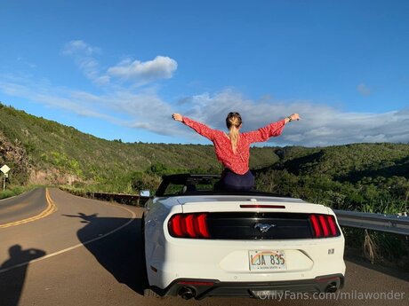 Milawonder haut modèle galerie