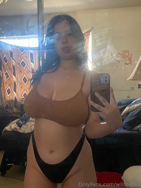 Wildcat01 top star images