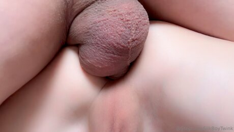 Silkboytwink modèle artistique des photos