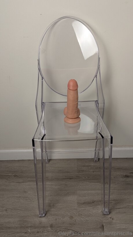 Pleasantpriscilla nus étoiles img