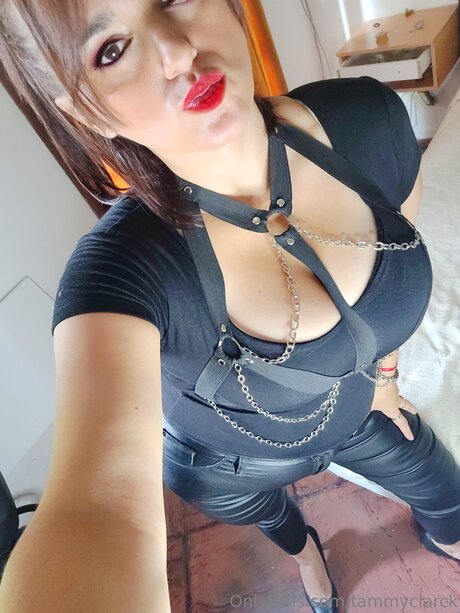 Mistresstam haut de star du porno image