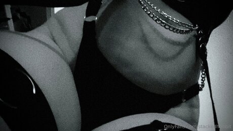 Stackedhobbit joli modèle collection