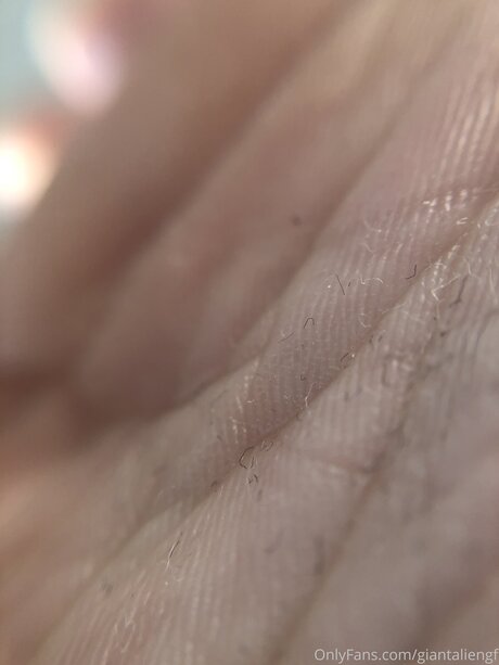 Giantaliengf top star des photos