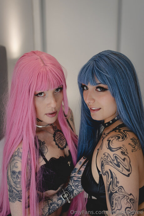 Leblancsgfree meilleure étoile archive