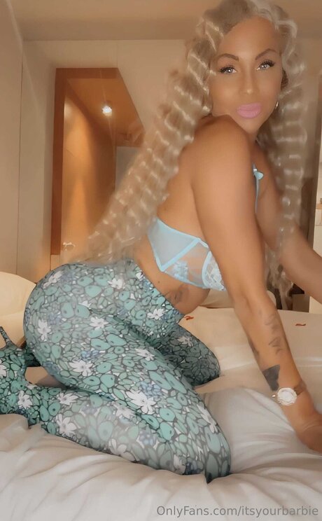 Itsyourbarbie top star galerie