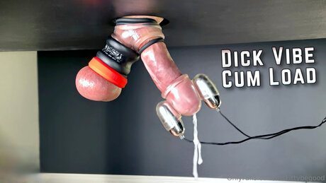 Mskittybegood meilleure actrice collection