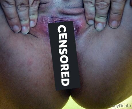 U137557190 nus étoiles galerie