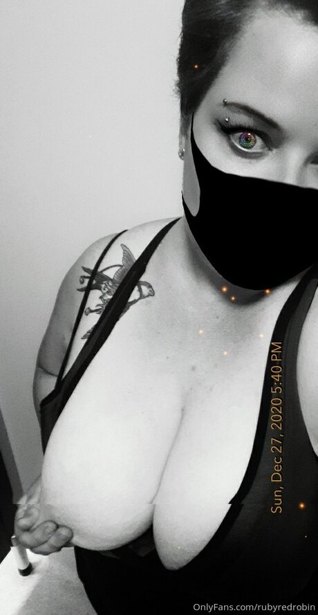 Rubyredrobin étoile magnifique galeries