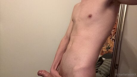 Xcharlietwinkx étoile de l'art collection