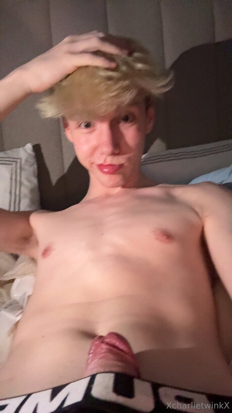 Xcharlietwinkx nus étoiles images