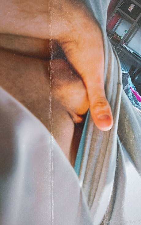 Fve13 nus de stars du porno img