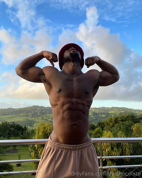 Vipchocolate belle étoile photo