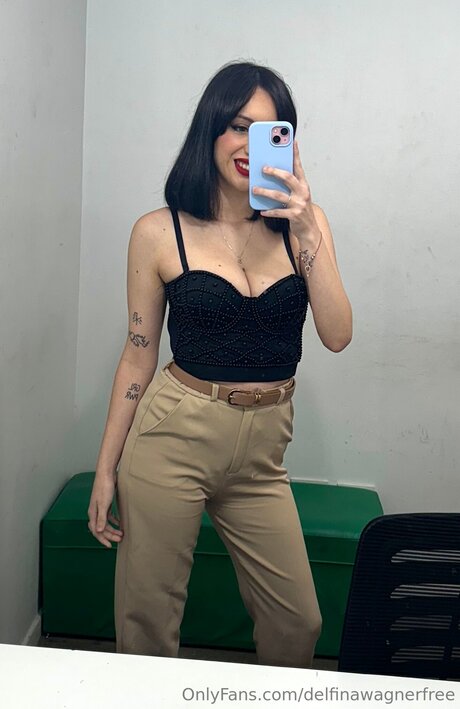 Delfinawagnerfree Fotoaufnahmen