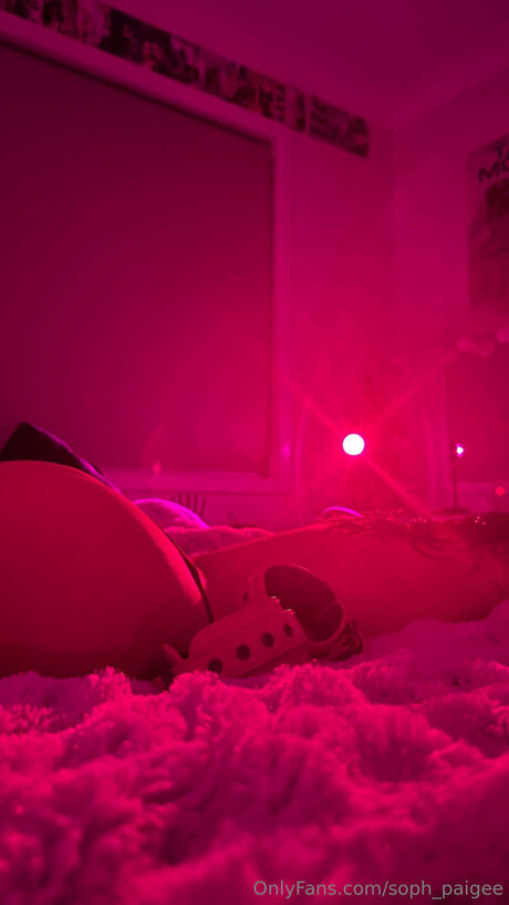 Soph Paigee haut modèle image