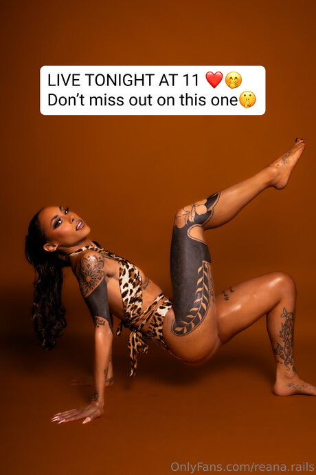 Reana Rails modèle meilleur archive