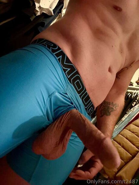 T2487 star pornographique img