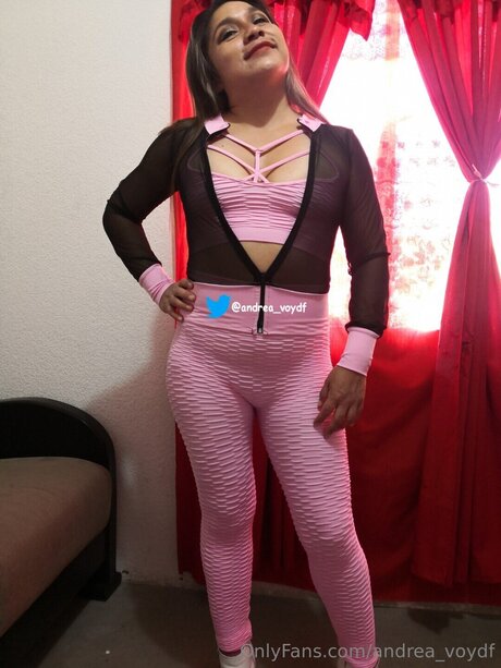 Andrea Voydf jolie star du porno collection