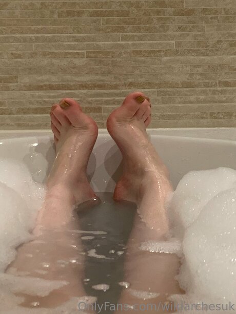 Wildarchesuk meilleur modèle archive