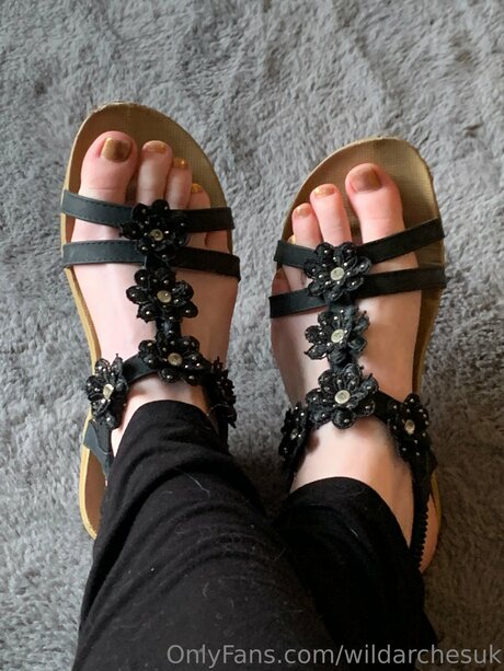 Wildarchesuk étoile sympa galerie