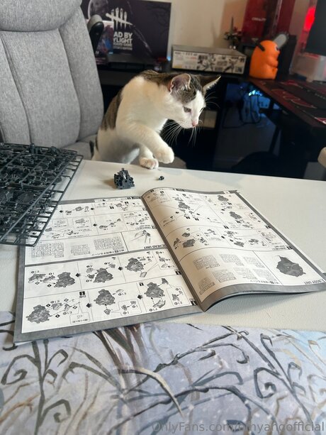 Emyangofficial belle étoile galeries