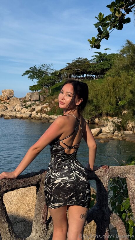 Liapetite art modèle galerie