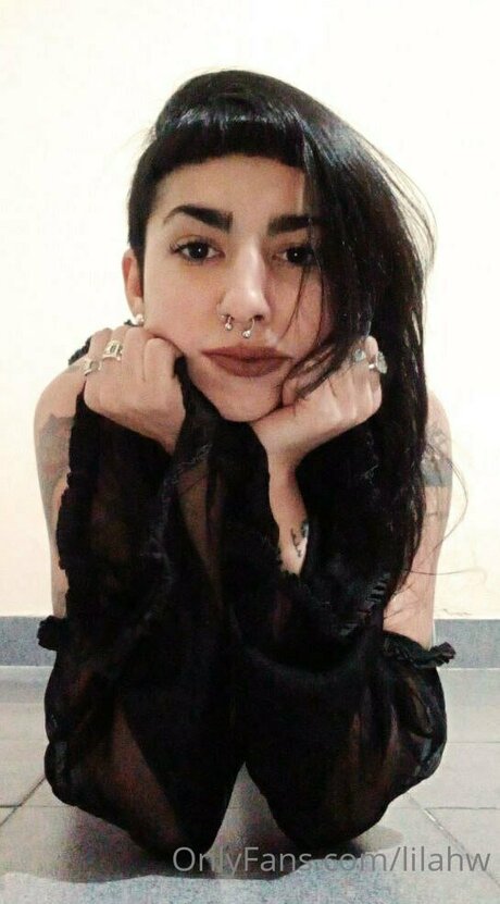 Nenalocaa modèle galerie